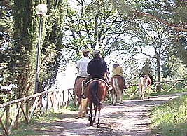 Frigolandia: passeggiate a cavallo nel parco